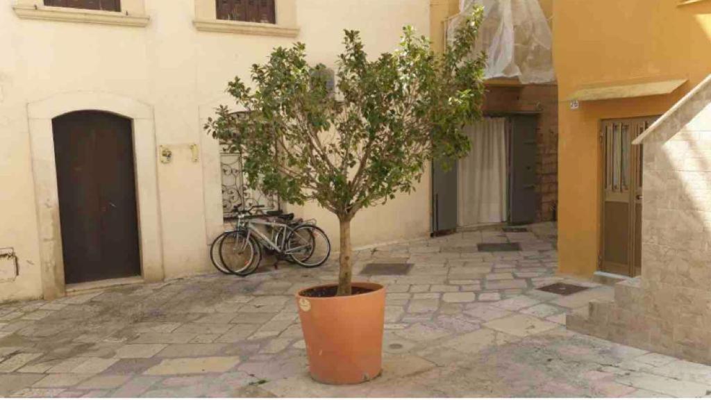 Corte32 Bari Exterior foto